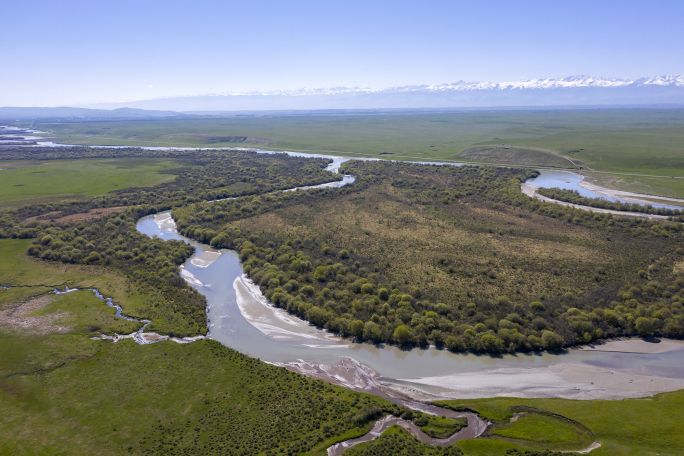 新疆特克斯河湿地航拍