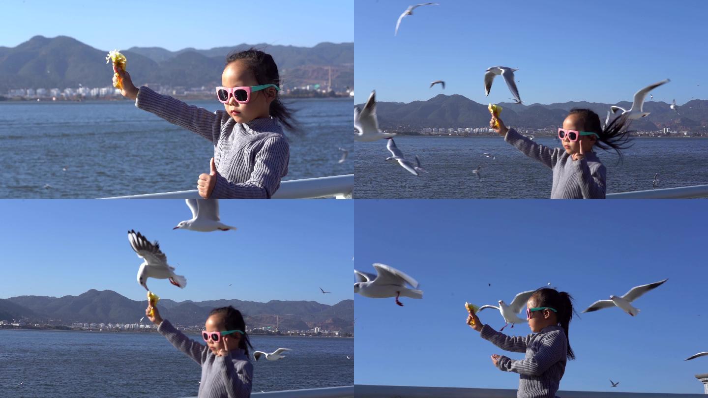 4k慢镜头高清喂海鸥的小女孩