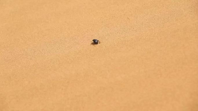 腾格里沙漠沙漠风沙