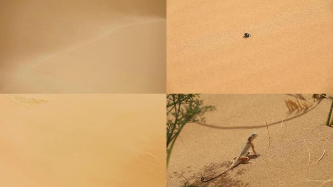 腾格里沙漠沙漠风沙