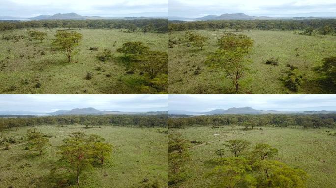 肯尼亚非洲大草原鸟瞰图