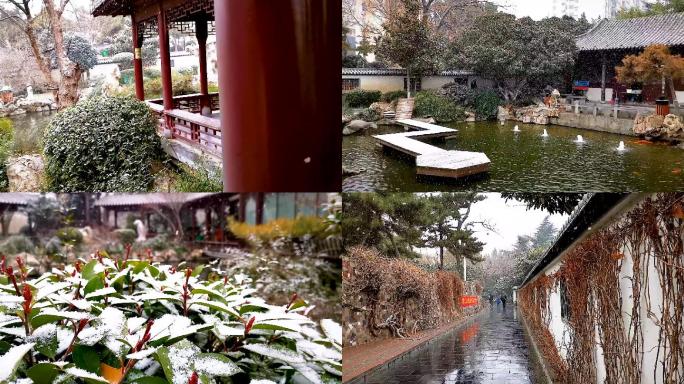 紫荆山公园下雪