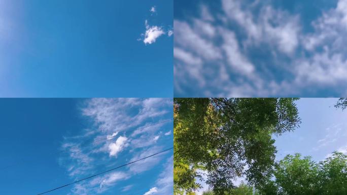 蓝天白云云朵树木绿色晴空晴天