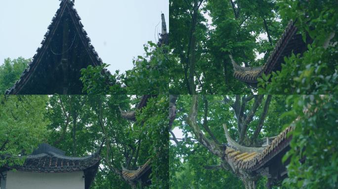 雨中的飞檐