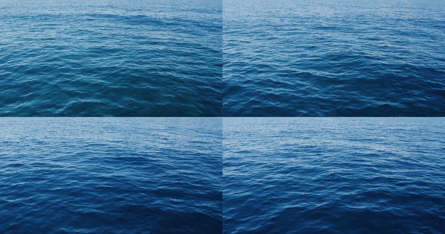 飞越深蓝色的海洋。