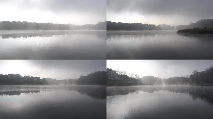 湖面清晨水雾弥漫航拍