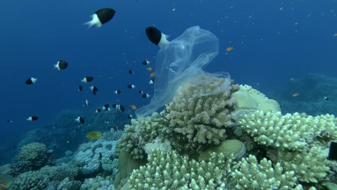 海洋的水下塑料污染。