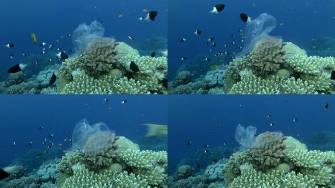 海洋的水下塑料污染。
