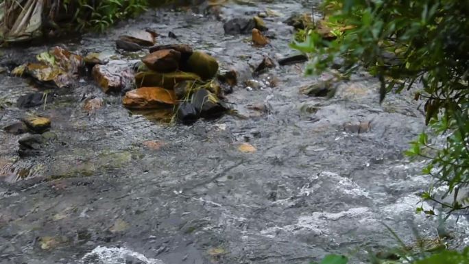 高清小河水缓缓流淌视频素材