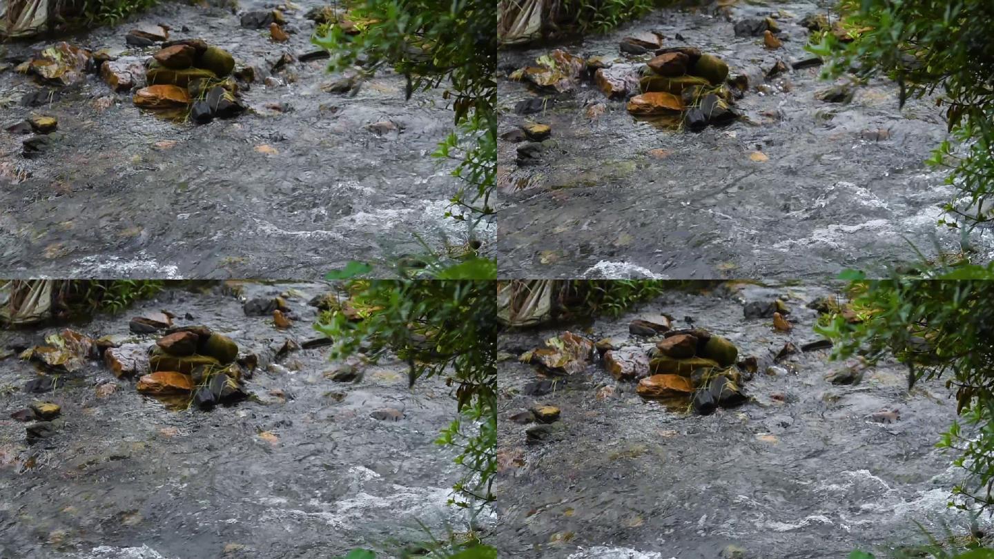 高清小河水缓缓流淌视频素材