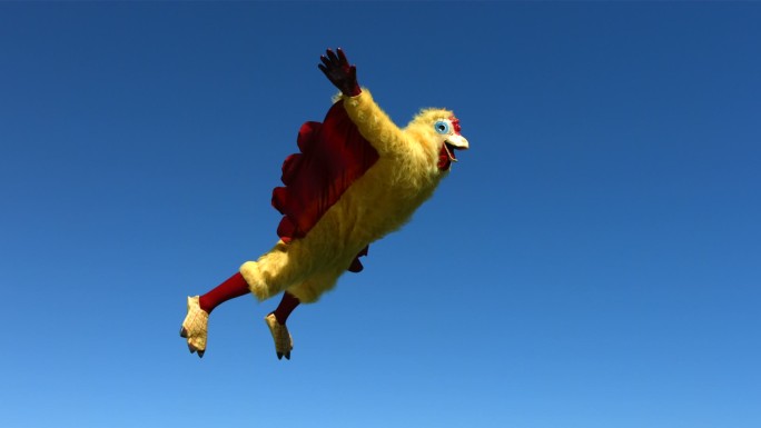 鸡飞上天空
