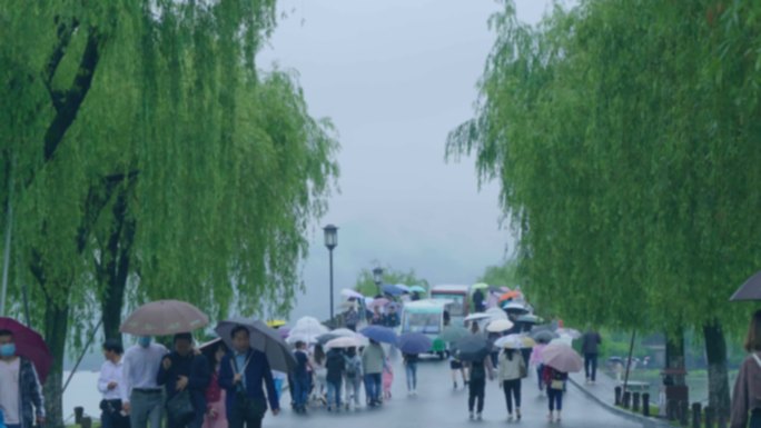 雨中的游客