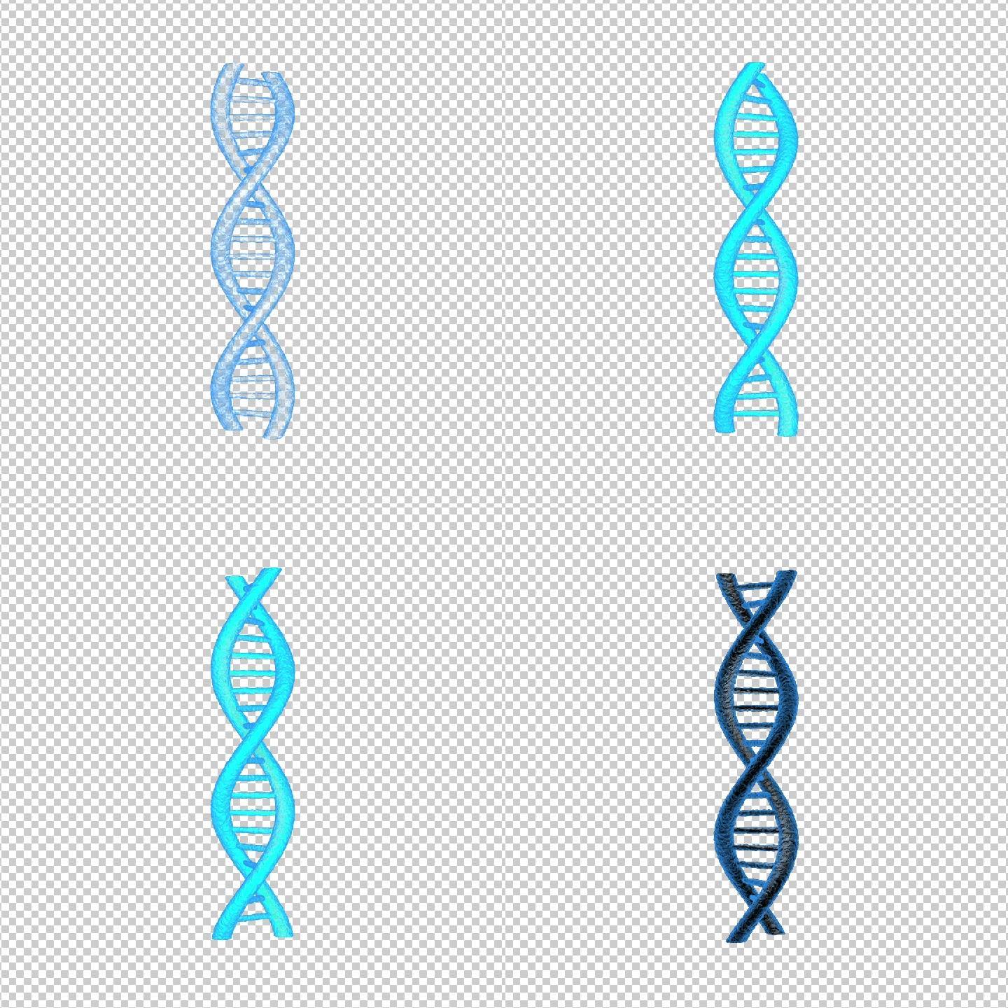 【带通道】旋转DNA模型