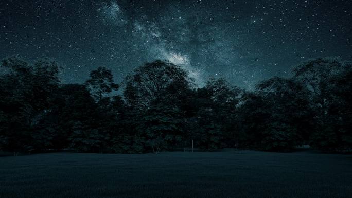 夜晚森林星空浩瀚宇宙