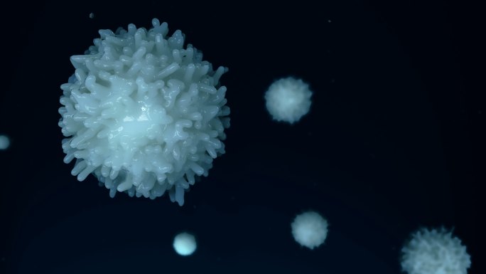 淋巴细胞物理结构免疫学蛋白质免疫系统