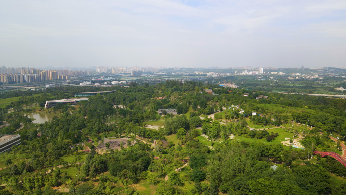 成都凤凰山公园航拍4K