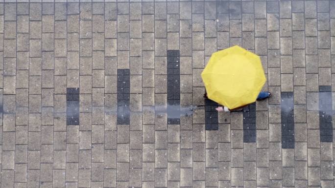 带伞的人在街上行走