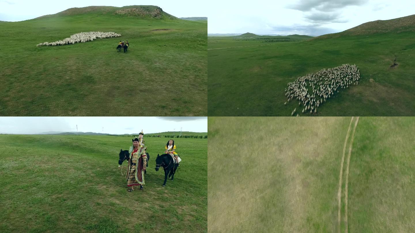 内蒙古草原骑马放羊航拍