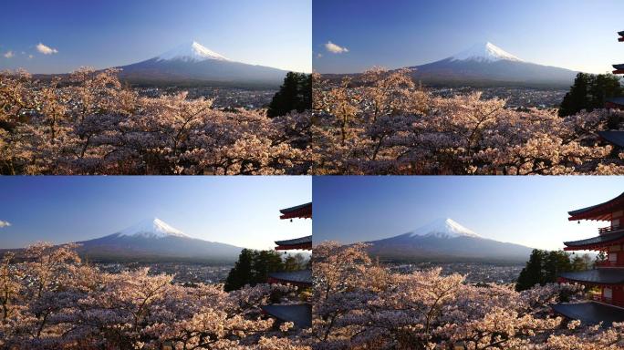 日本富士山和樱花景观