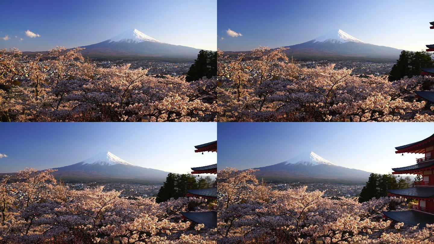 日本富士山和樱花景观