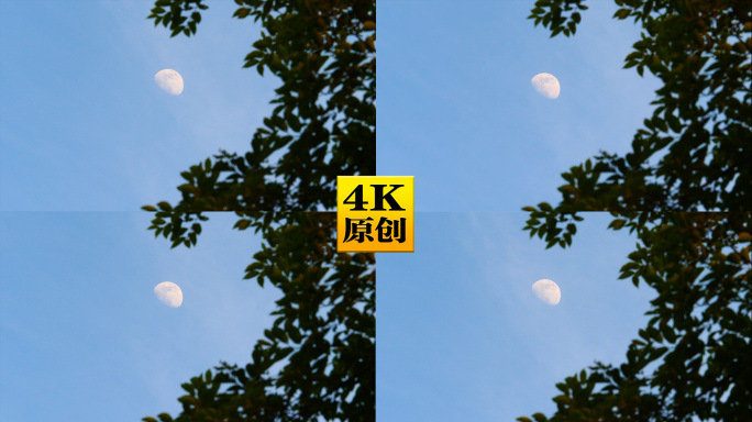 4K原创)傍晚蔚蓝天空中的月亮