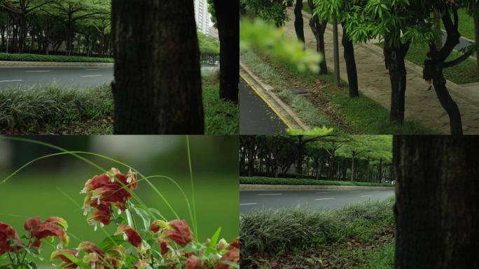 城市美丽空镜绿化大道深圳城市风景