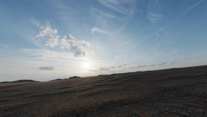 夕阳草原草地枯萎旅行奔跑未来荒野远方