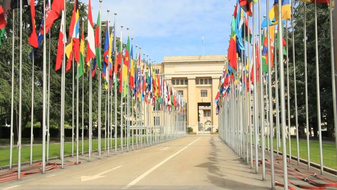 联合国日内瓦办事处
