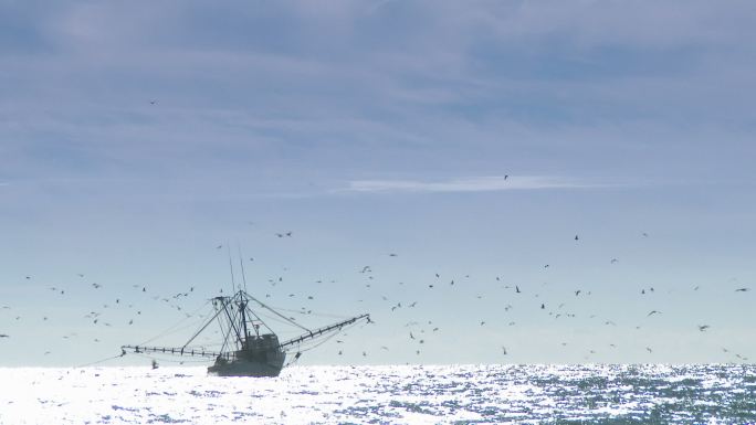 商业渔船渔船渔业资源捕鱼船