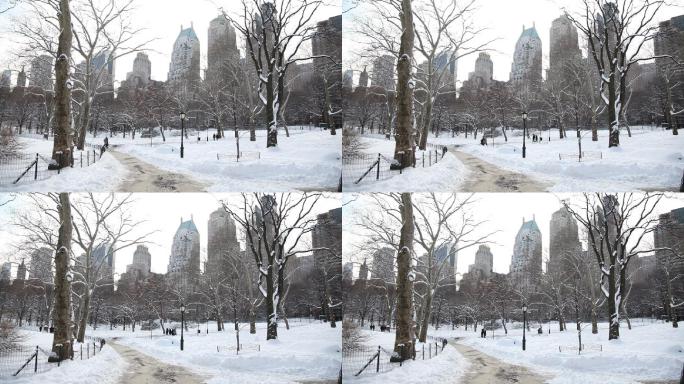 中央公园下雪-纽约市