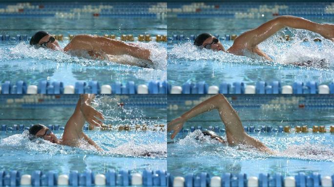 男子游泳游泳运动员游泳冠军泳道