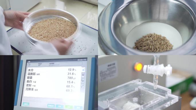 小麦数据检测实验室