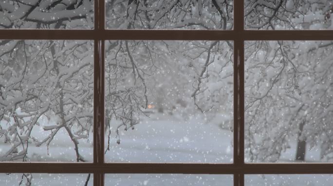 美丽的冬日景色和纷纷扬扬的雪花。