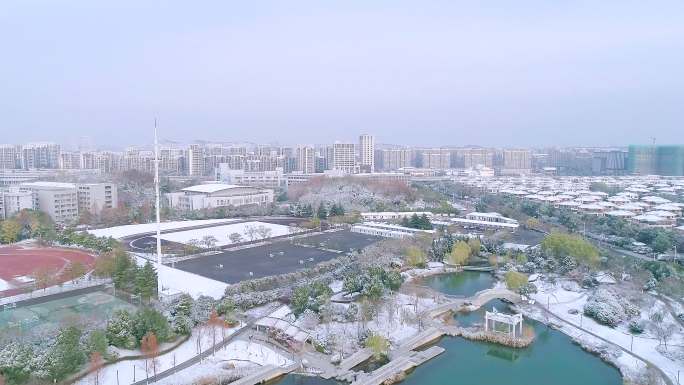 南京仙林雪景