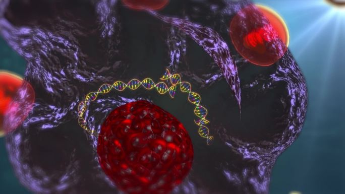 癌细胞DNA链断裂常一变多造成癌增殖转移