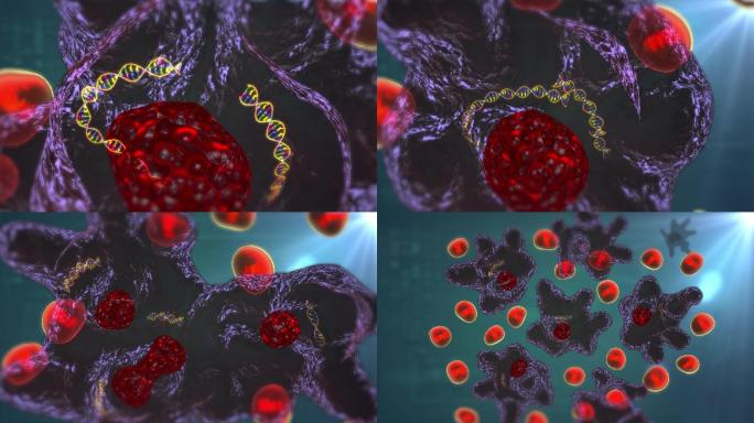 癌细胞DNA链断裂常一变多造成癌增殖转移