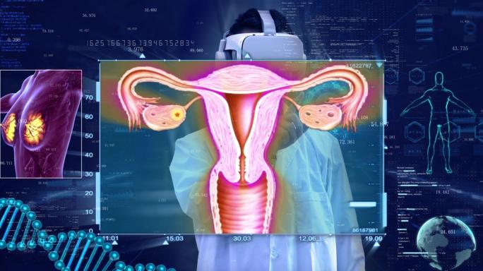 VR虚拟现实智慧医疗女性生殖系统子宫疾病