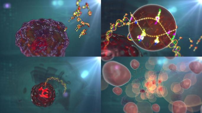 扭转癌DNA错误碱基交叉链接转向正常细胞