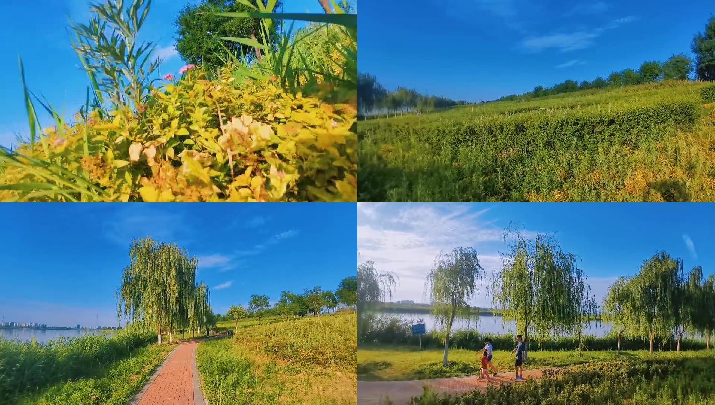 西安渭河休闲湖边散步迷人景色
