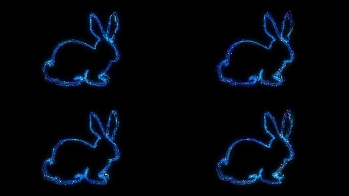 粒子图形流线-兔