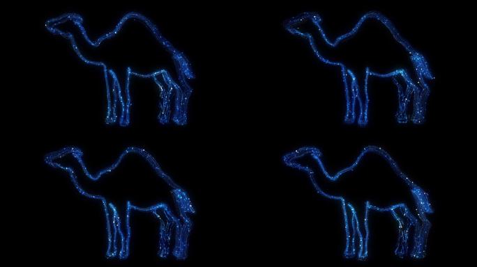粒子图形流线-骆驼
