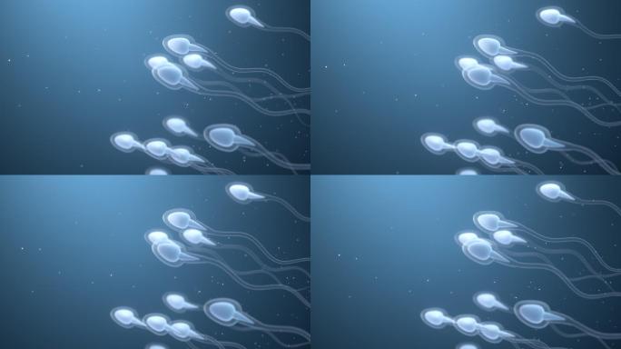 人类精子细胞3D渲染