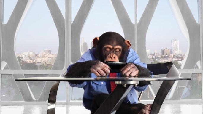 黑猩猩智能电话洛杉矶办事处