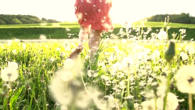 在草地上向着太阳奔跑的女孩