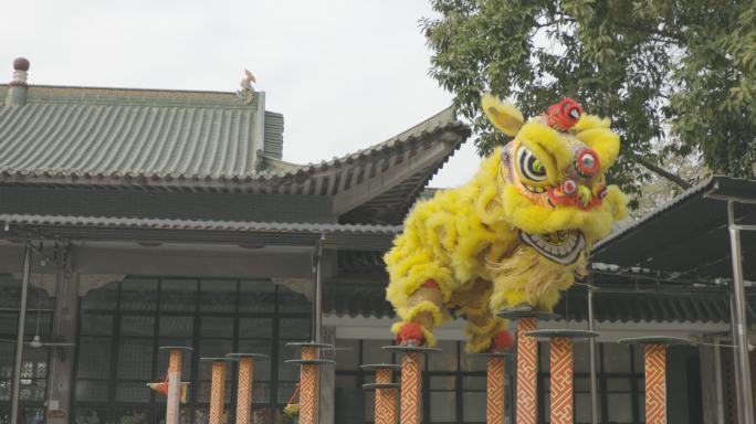 黄飞鸿狮艺武术馆狮艺表演