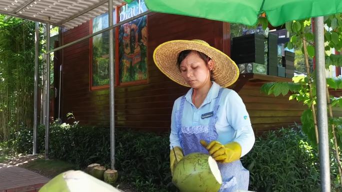 海南三亚农村妇女开椰子