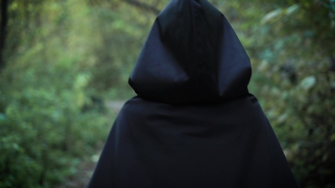 一个穿着黑斗篷的人向森林里走去。