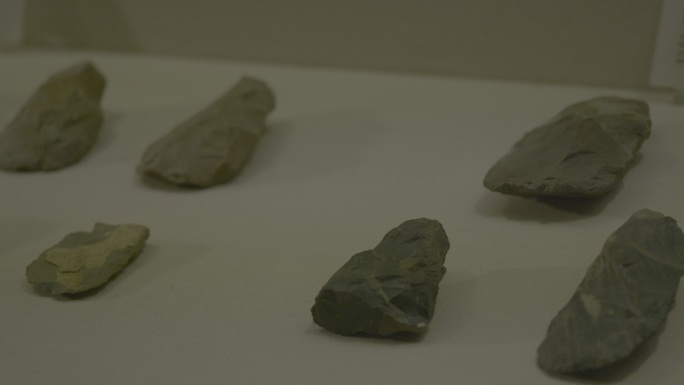 珠三角远古石器石斧展列