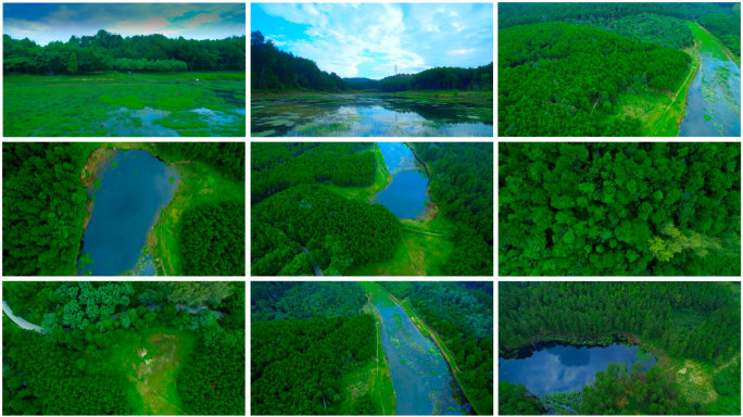4K航拍绿色森林 湖泊 生态 环境