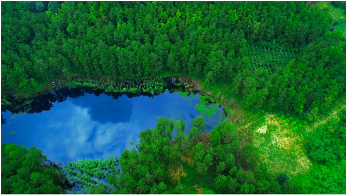 4K航拍绿色森林 湖泊 生态 环境